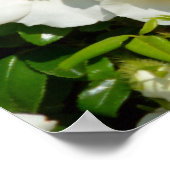 Cherokee Rose Poster (Ecke)