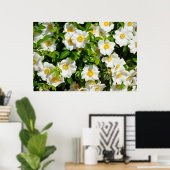 Cherokee Rose Poster (Heimbüro)