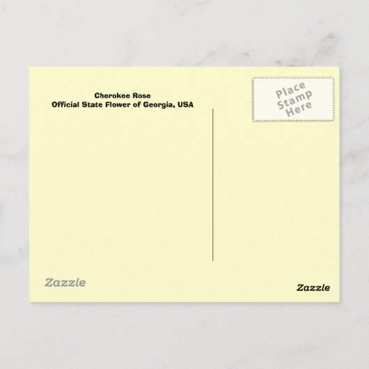 Cherokee Rose Postkarte (Rückseite)