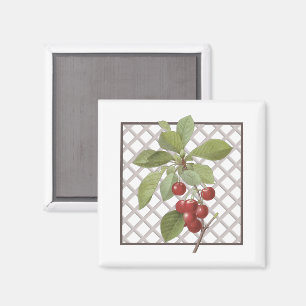 CHERRIES MAGNET