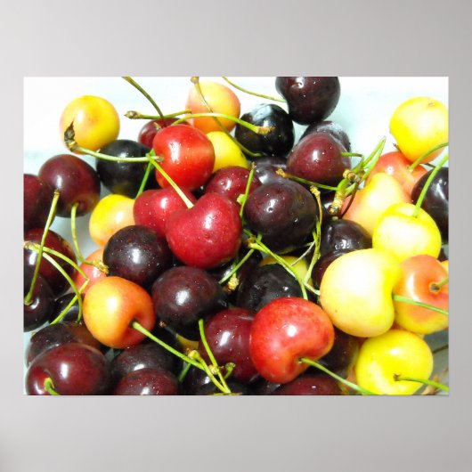 Cherries Poster (Vorne)