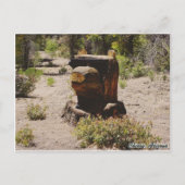 Cherry, Arizona Postkarte (Vorderseite)