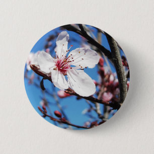 Cherry Blossom 2 Button