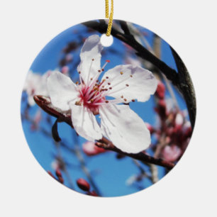 Cherry Blossom 2 Keramik Ornament