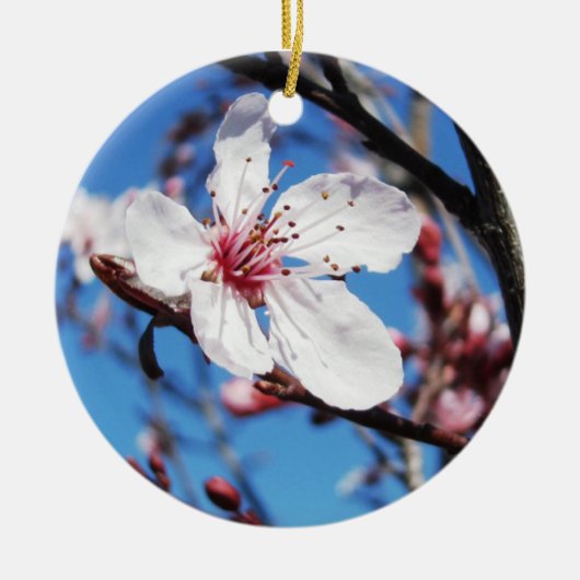 Cherry Blossom 2 Keramik Ornament (Vorne)