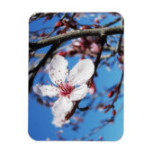 Cherry Blossom 2 Magnet (Vertikal)