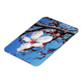 Cherry Blossom 2 Magnet (Linke Seite)