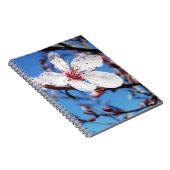 Cherry Blossom 2 Notizblock (Rechte Seite)
