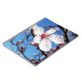 Cherry Blossom 2 Notizblock (Linke Seite)