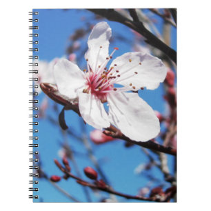 Cherry Blossom 2 Notizblock