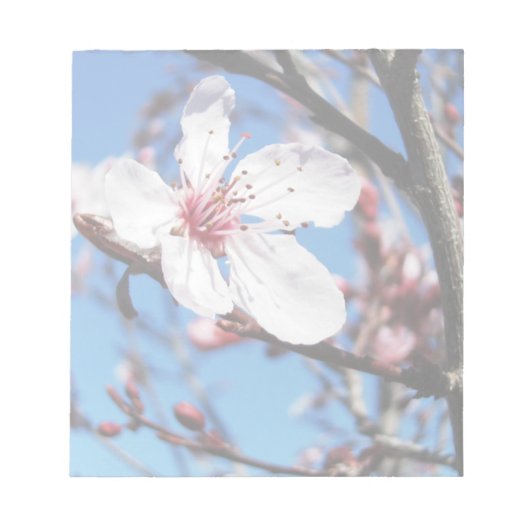Cherry Blossom 2 Notizblock (Vorderseite)