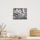Cherry Blossom 2 Poster (Küche)