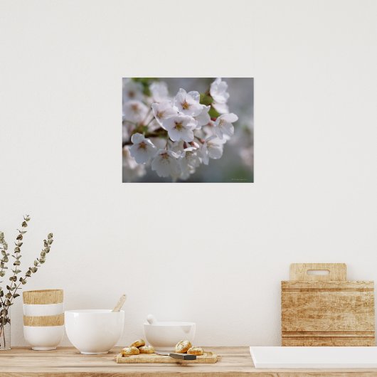 Cherry Blossom 2 Poster (Küche)