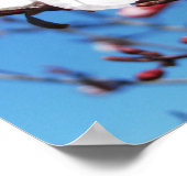 Cherry Blossom 2 Poster (Ecke)