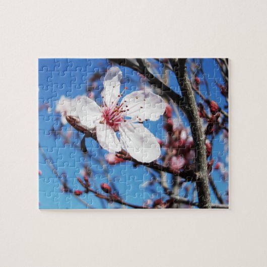Cherry Blossom 2 Puzzle (Horizontal)