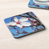 Cherry Blossom 2 Untersetzer (Linke Seite)