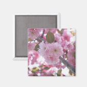 Cherry Blossom 4 Magnet (Vorderseite/Rückseite)