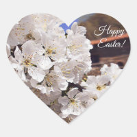 Cherry Blossom. Alles Gute zu Ostern.