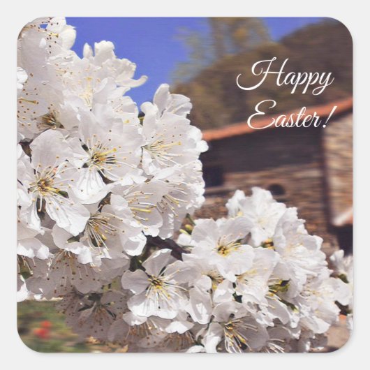 Cherry Blossom. Alles Gute zu Ostern. Quadratischer Aufkleber (Vorderseite)