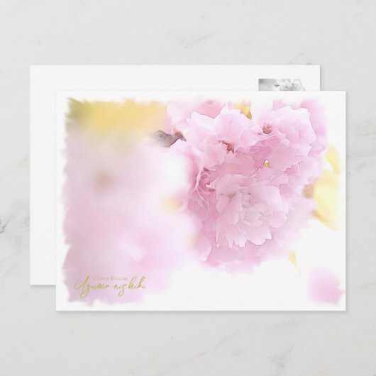 Cherry Blossom "Azuma-nishiki" Postkarte (Vorne/Hinten)