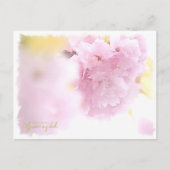 Cherry Blossom "Azuma-nishiki" Postkarte (Vorderseite)