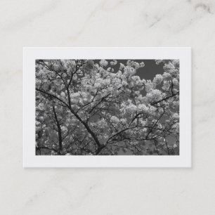 Cherry Blossom B&W (grenzt) Visitenkarte