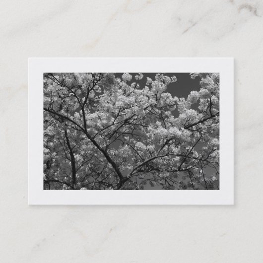 Cherry Blossom B&W (grenzt) Visitenkarte (Vorderseite)