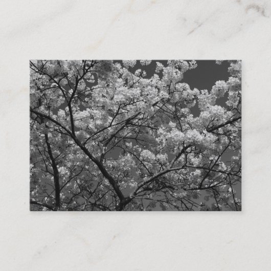 Cherry Blossom B&W Visitenkarte (Vorderseite)