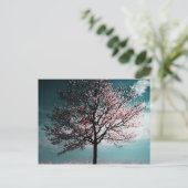 Cherry Blossom Baummalerei - Abenddämmerung Postkarte (Stehend Vorderseite)