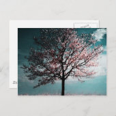 Cherry Blossom Baummalerei - Abenddämmerung Postkarte (Vorne/Hinten)