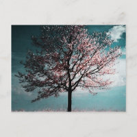 Cherry Blossom Baummalerei - Abenddämmerung