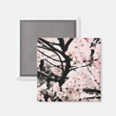 Cherry Blossom bearbeitet Magnet (Vorderseite/Rückseite)