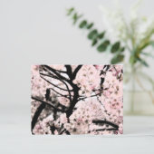 Cherry Blossom bearbeitet Postkarte (Stehend Vorderseite)