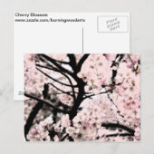 Cherry Blossom bearbeitet Postkarte (Vorne/Hinten)