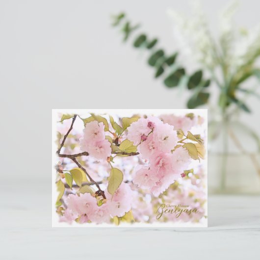 Cherry Blossom "Benigasa" ポストカード Postkarte (Stehend Vorderseite)