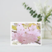 Cherry Blossom "Benitemari" ポストカード Postkarte (Stehend Vorderseite)