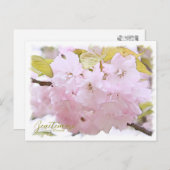 Cherry Blossom "Benitemari" ポストカード Postkarte (Vorne/Hinten)