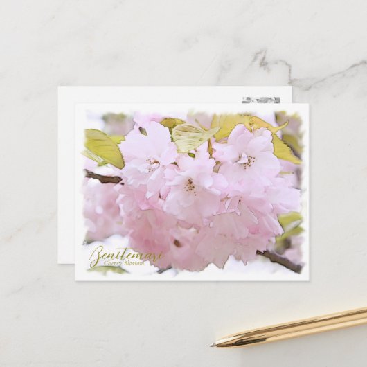 Cherry Blossom "Benitemari" ポストカード Postkarte (Vorderseite/Rückseite Beispiel)