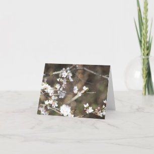 Cherry Blossom Blank Dankeskarte
