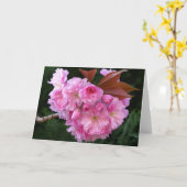 Cherry Blossom Blank Greetings Card Karte (Gelbe Blume)