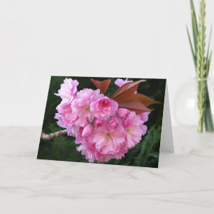 Cherry Blossom Blank Greetings Card Karte