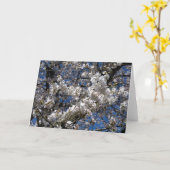 Cherry Blossom Blank notecard Karte (Gelbe Blume)