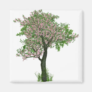 Cherry Blossom Blume Baumzweige Blätter Magnet