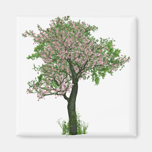 Cherry Blossom Blume Baumzweige Blätter Magnet (Vorne)