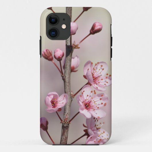 Cherry Blossom Blume Case-Mate iPhone Hülle (Rückseite)