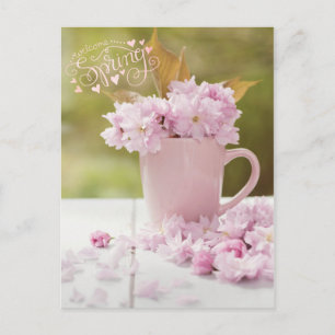 Cherry Blossom Blume Floral Stillleben Frühlingste Postkarte