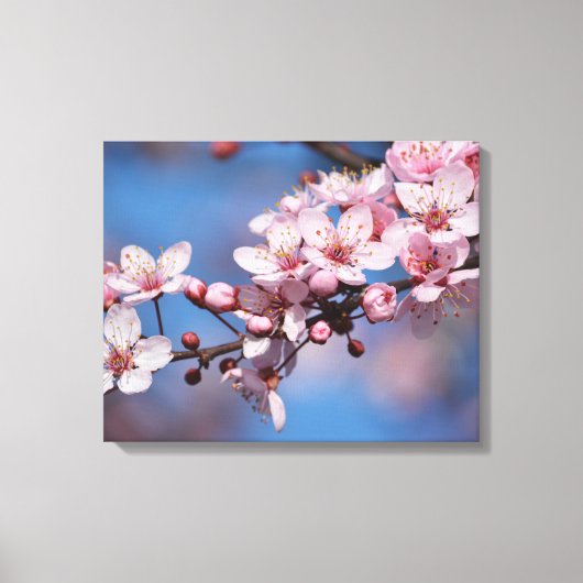 Cherry Blossom Blume Leinwanddruck (Vorderseite)
