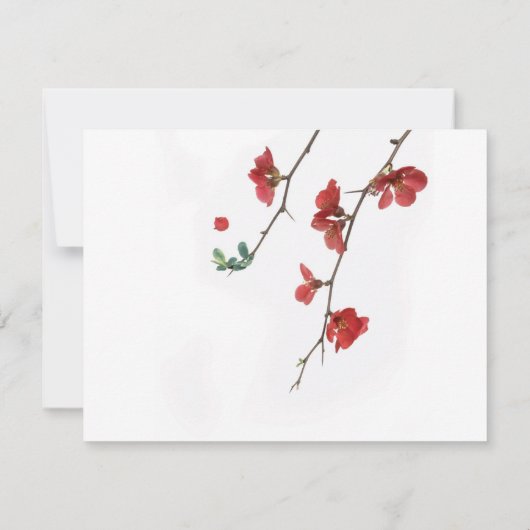 Cherry Blossom Blume Mitteilungskarte (Rückseite)