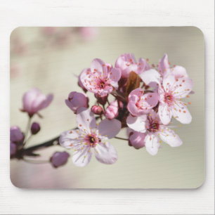 Cherry Blossom Blume Mousepad