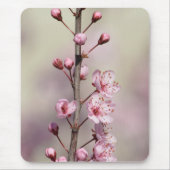 Cherry Blossom Blume Mousepad (Vorne)